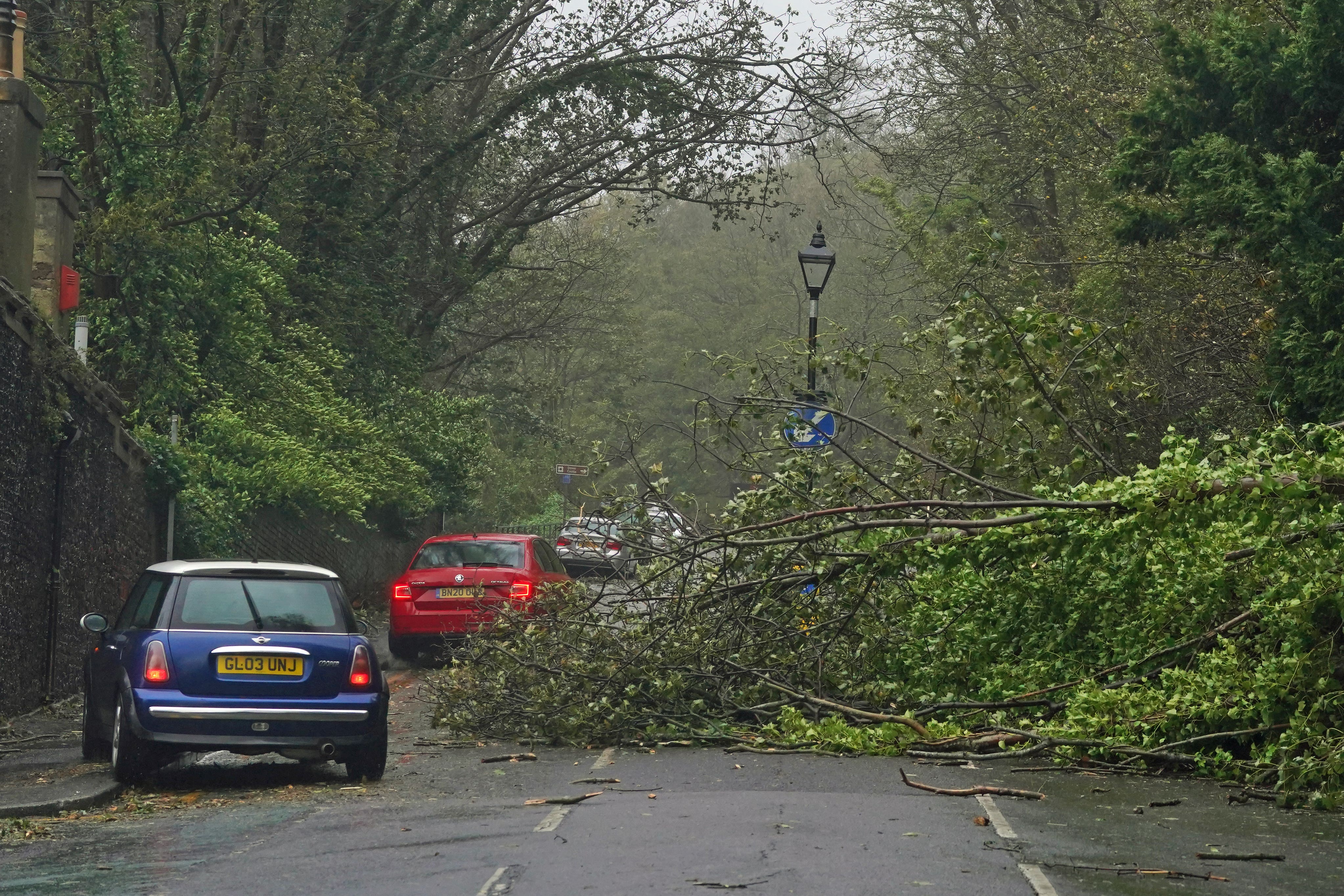<p>Cars pass a fallen tree in Dover, Kent, as Storm Ciaran brings high winds and heavy rain along the south coast of England (Gareth Fuller/PA)</p>