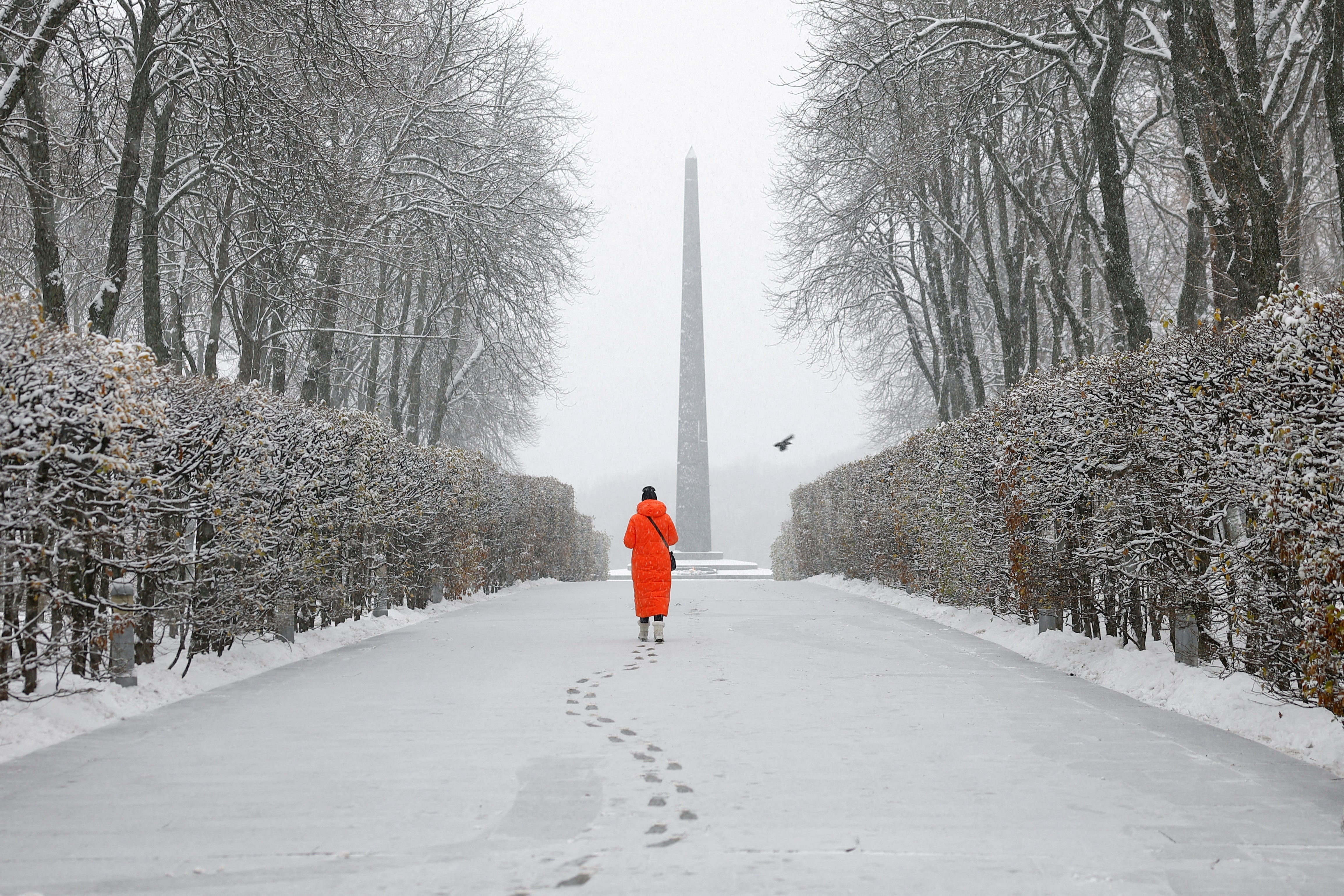 <p>A woman walks in a snow-covered park during the first snowfall, amid Russia's attack in Ukraine, in Kyiv</p>