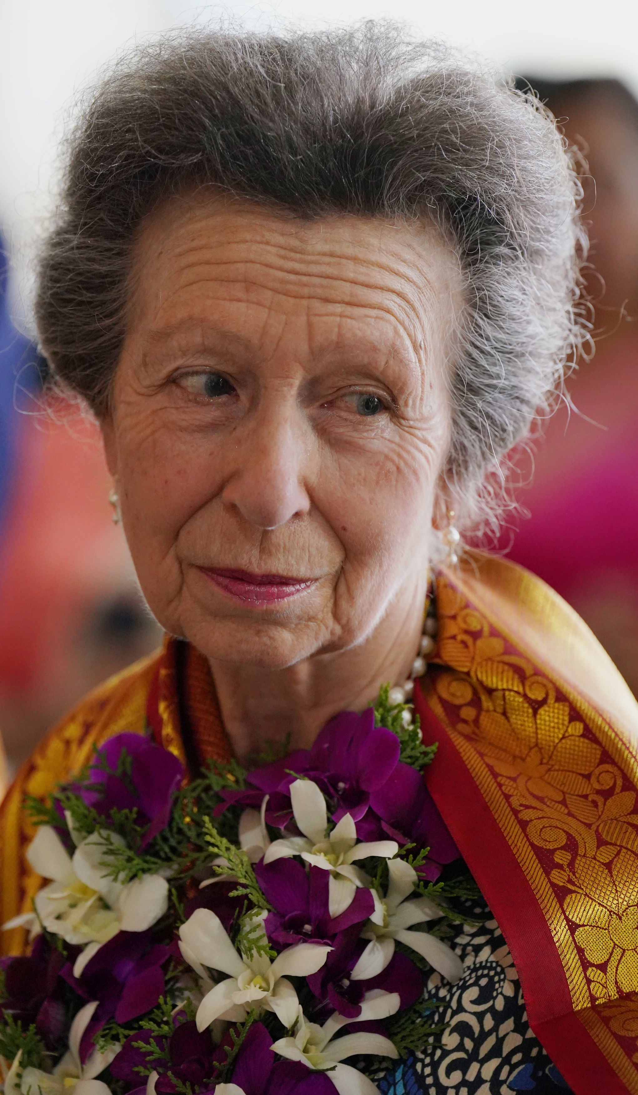 

<p>The Princess Royal during a visit to Vajira Pillayar Kovil Hindu temple in Colombo, Sri Lanka, as part of day three of her visit to mark 75 years of diplomatic relations between the UK and Sri Lanka. Picture date: Friday January 12, 2024</p>
<p>” height=”3500″ width=”2040″ layout=”responsive” i-amphtml-layout=”responsive”><i-amphtml-sizer slot=