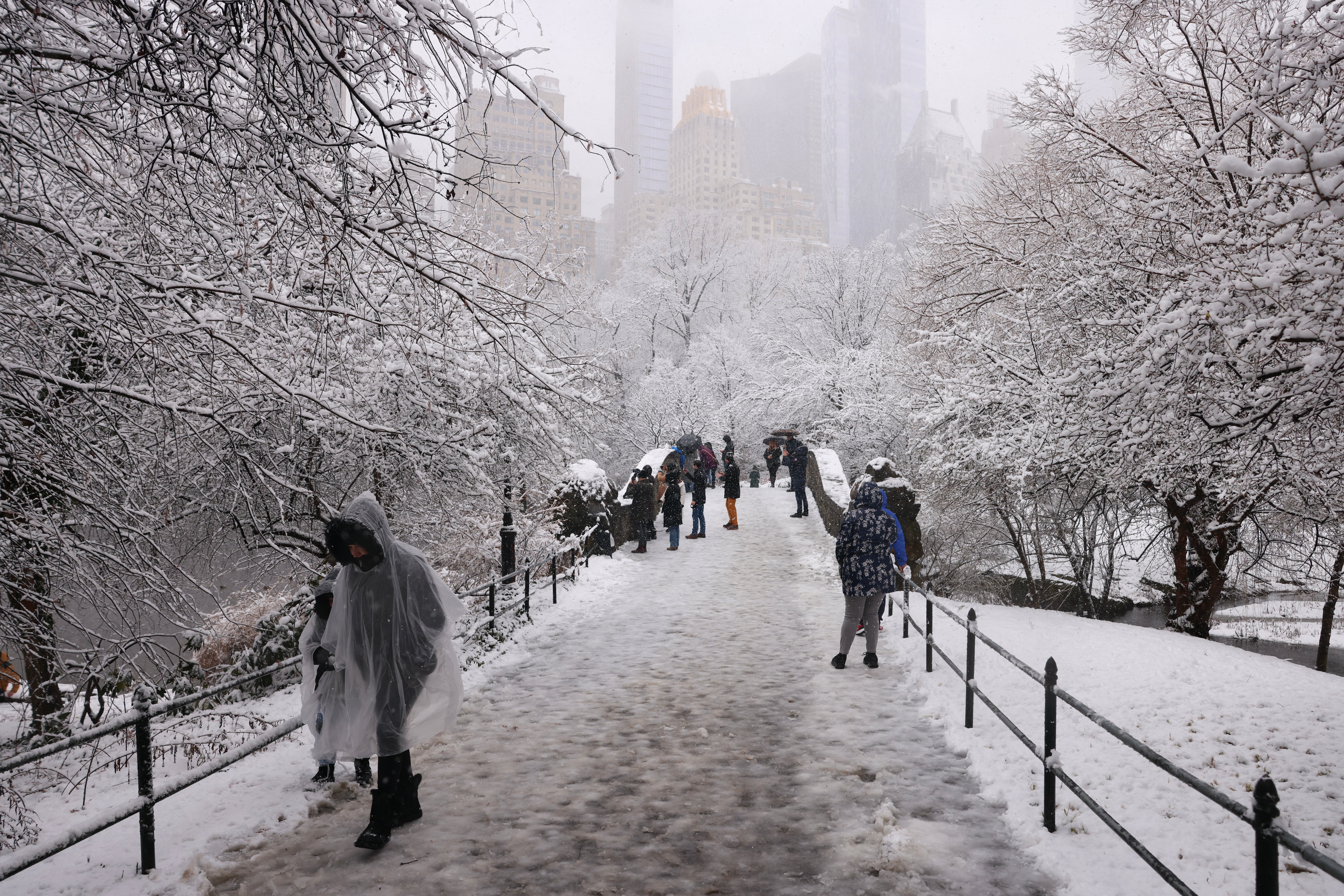 

<p>People walk through the falling snow in Central Park on February 13, 2024 in New York City</p>
<p>” height=”5464″ width=”8192″ layout=”responsive” i-amphtml-layout=”responsive”><i-amphtml-sizer slot=