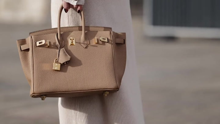 Hermes is being sued for the sale of Birkin bags.
