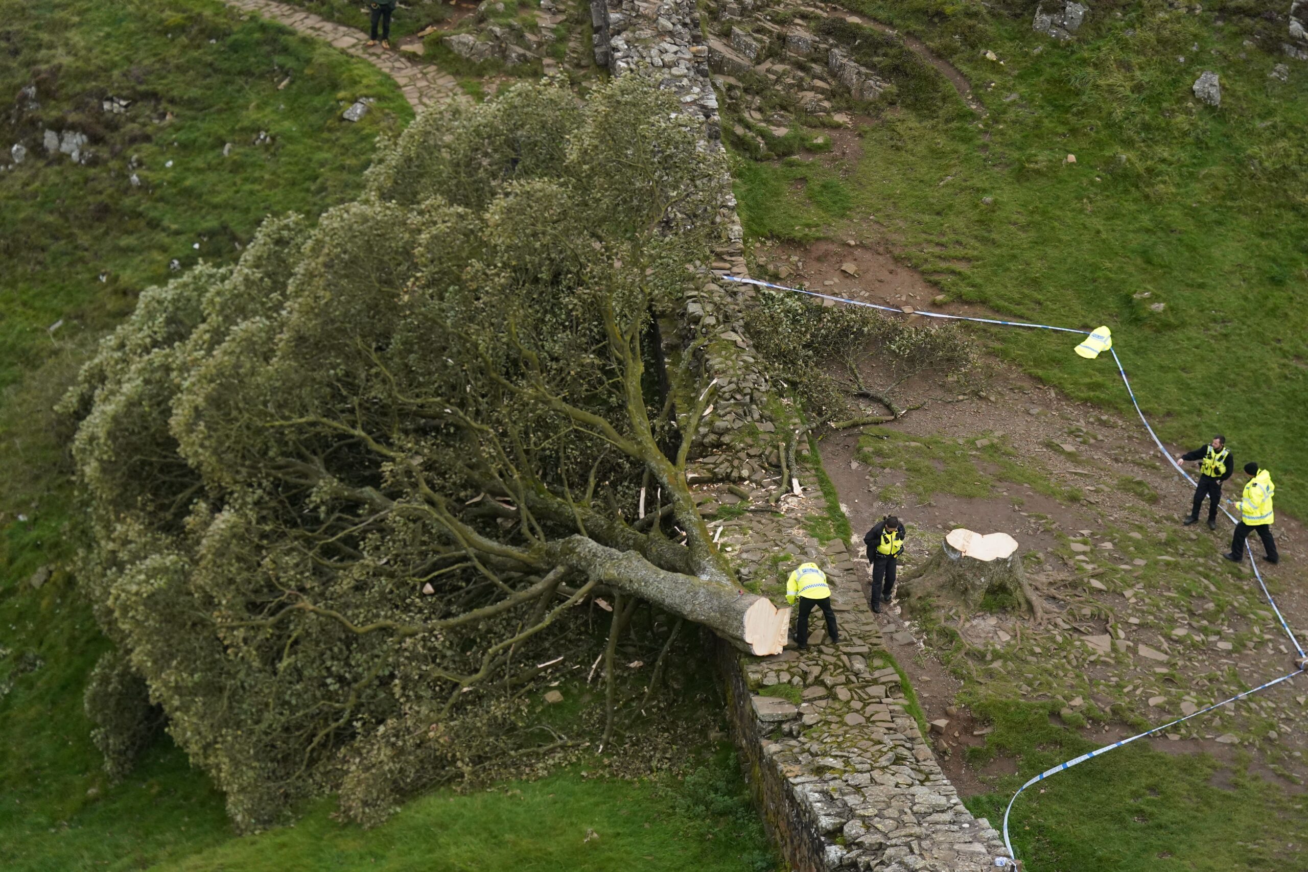 Sycamore Gap tree: Two men due to appear in court over criminal felling – latest