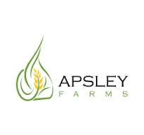 Yelspa Apsley logo