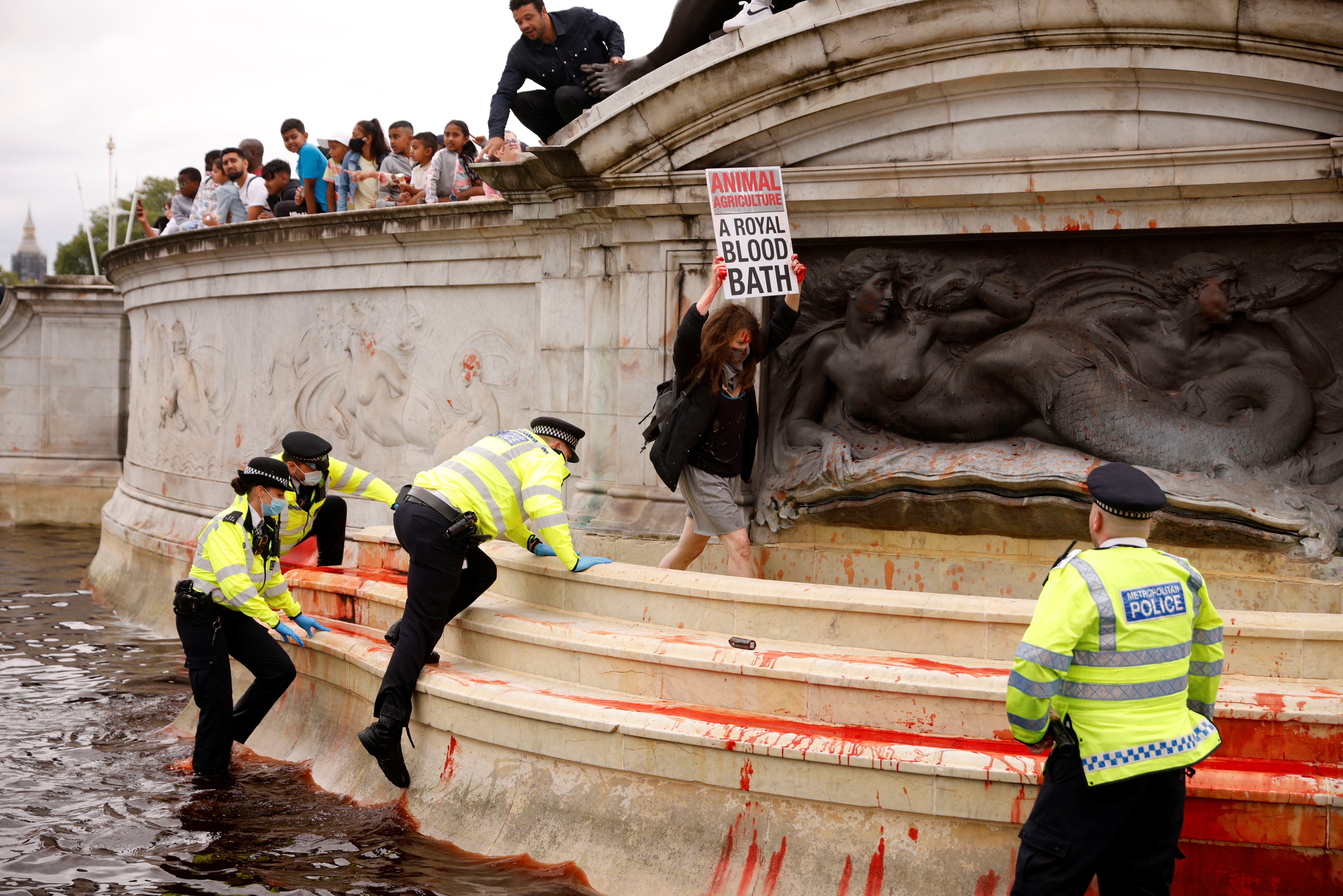 An Extinction Rebellion activist holds a placard in a fountain surrounded by police officers, during a protest next to Buckingham Palace in London.