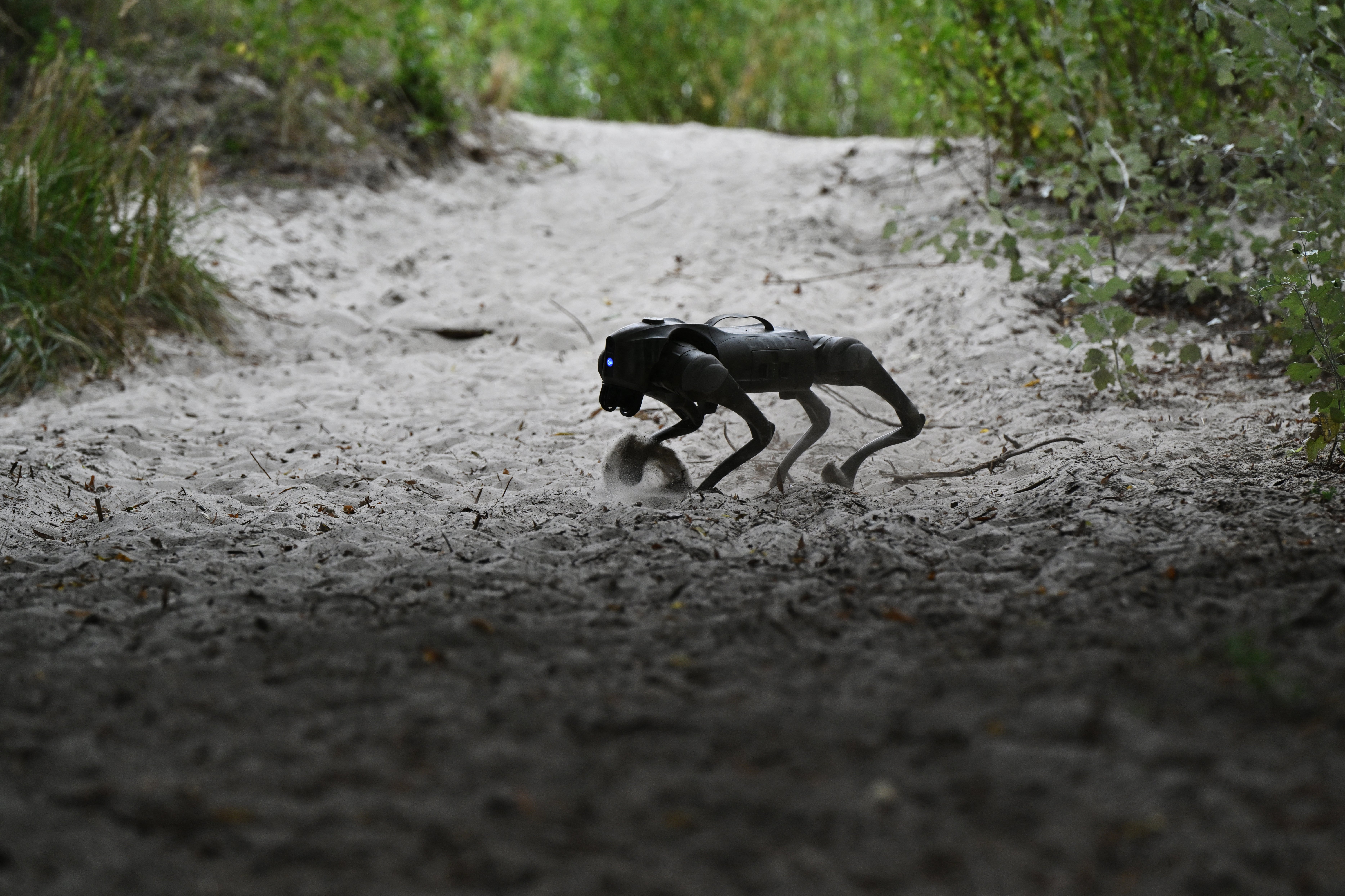 Robot dog during a demostration