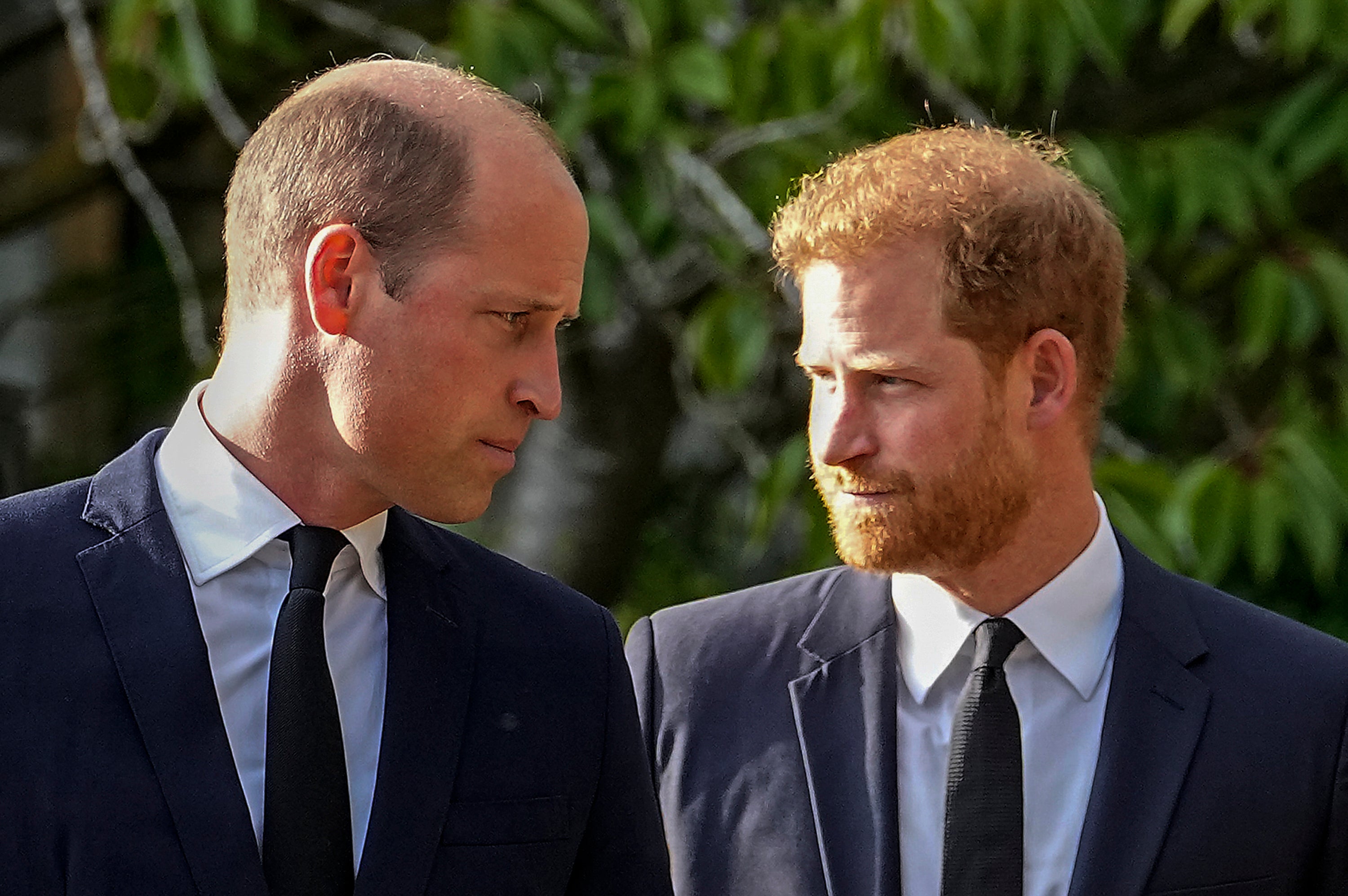 Harry and William have not been photographed together in public since the late Queen Elizabeth II’s death in September 2022.