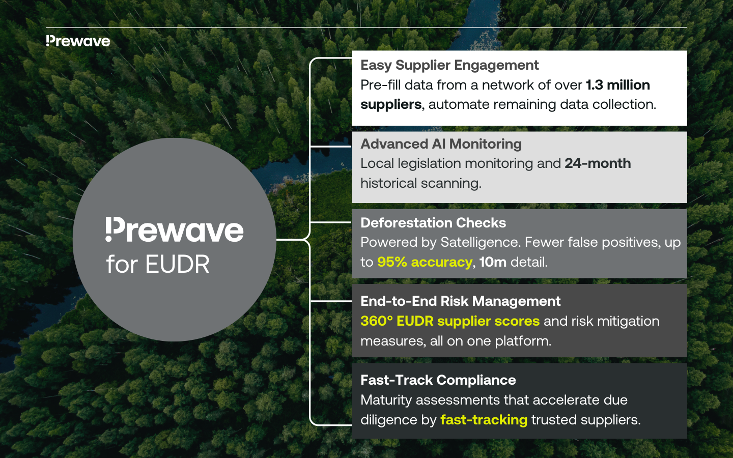 The EUDR goes beyond Europe: why compliance is a global effort