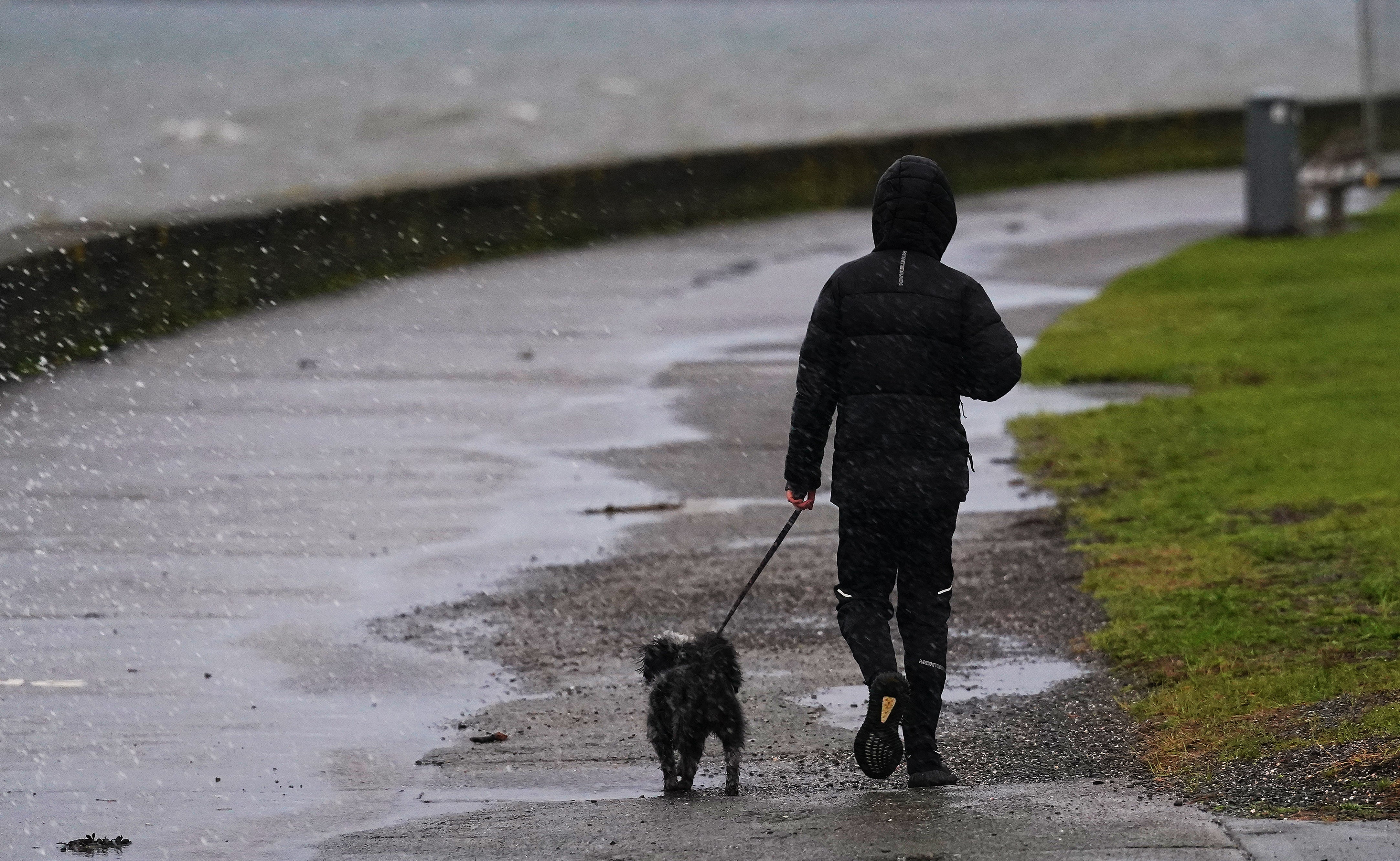 A person walks a dog on Clontarf Promenade in Dublin