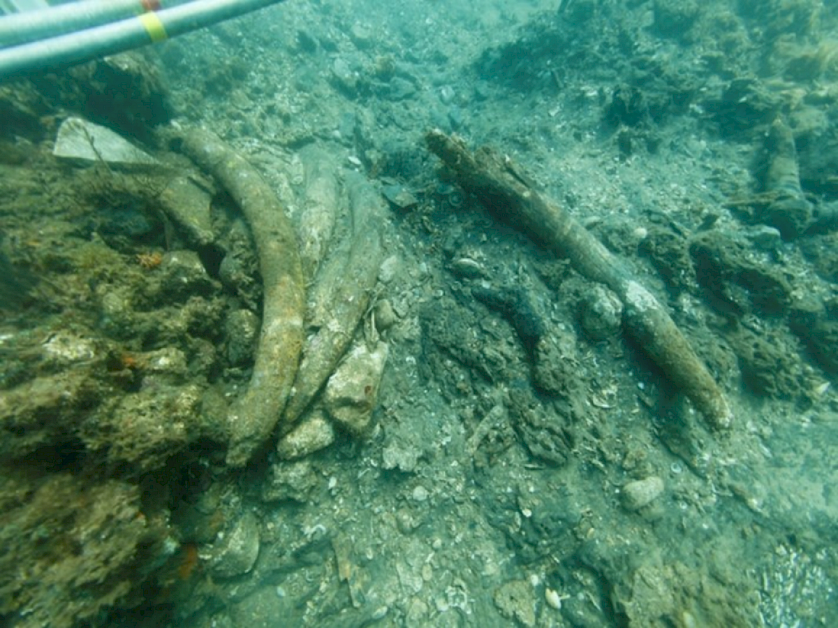 Remains of sunken ship that may have been part of Vasco da Gama’s last voyage