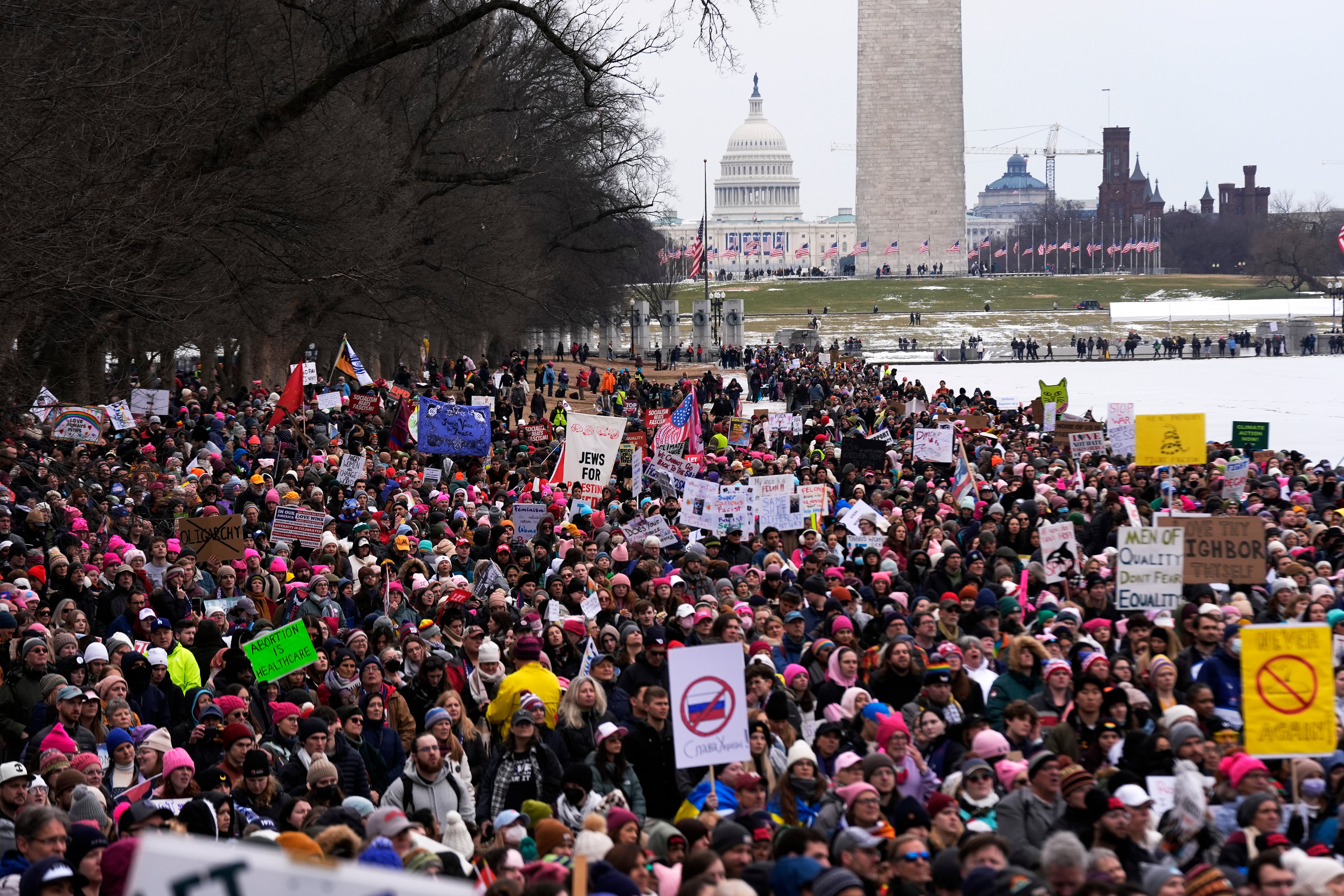 Protesters represent a variety of causes and groups who fear what a second Trump administration might mean for them