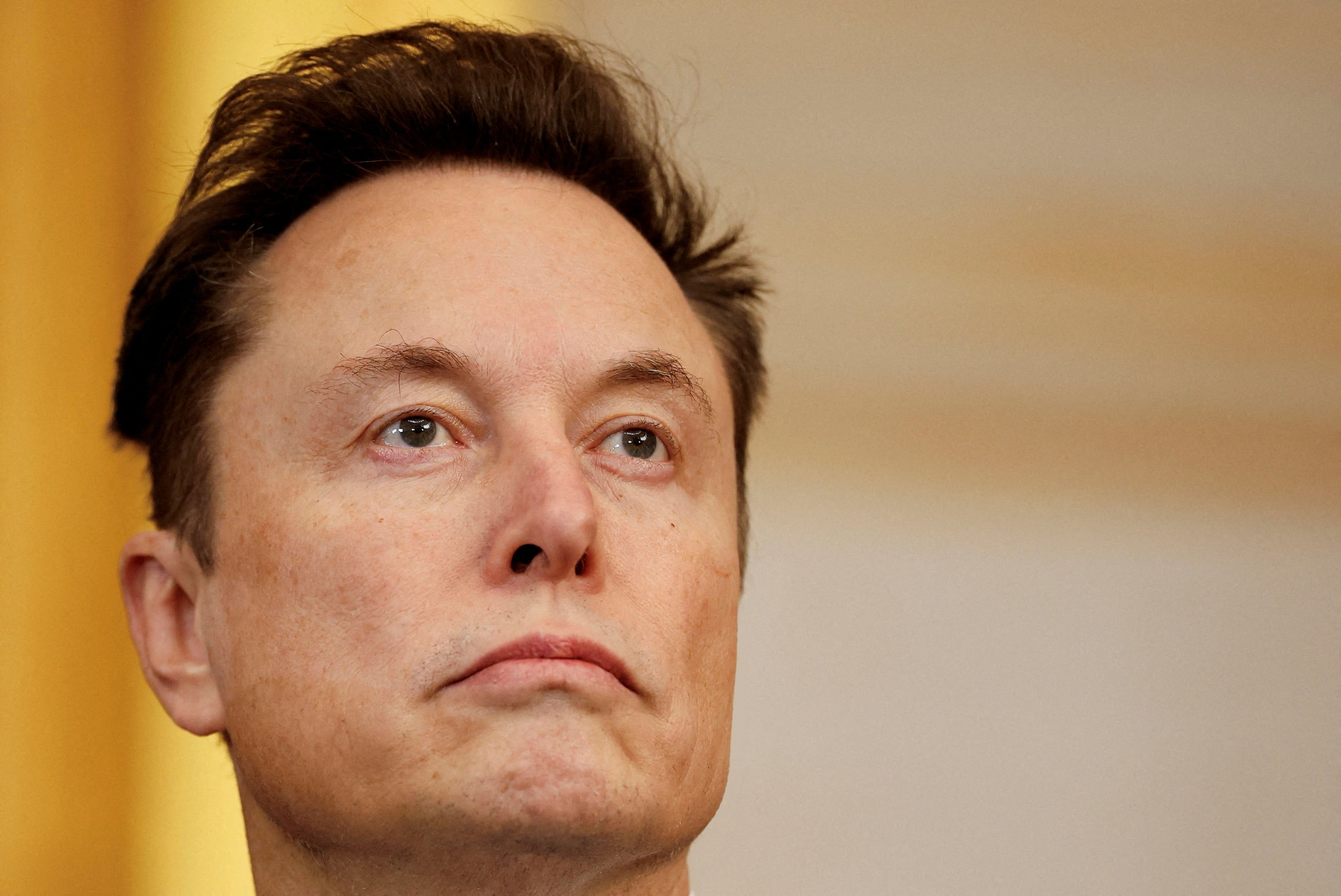 Elon Musk has vowed to gut federal departments as part of Doge