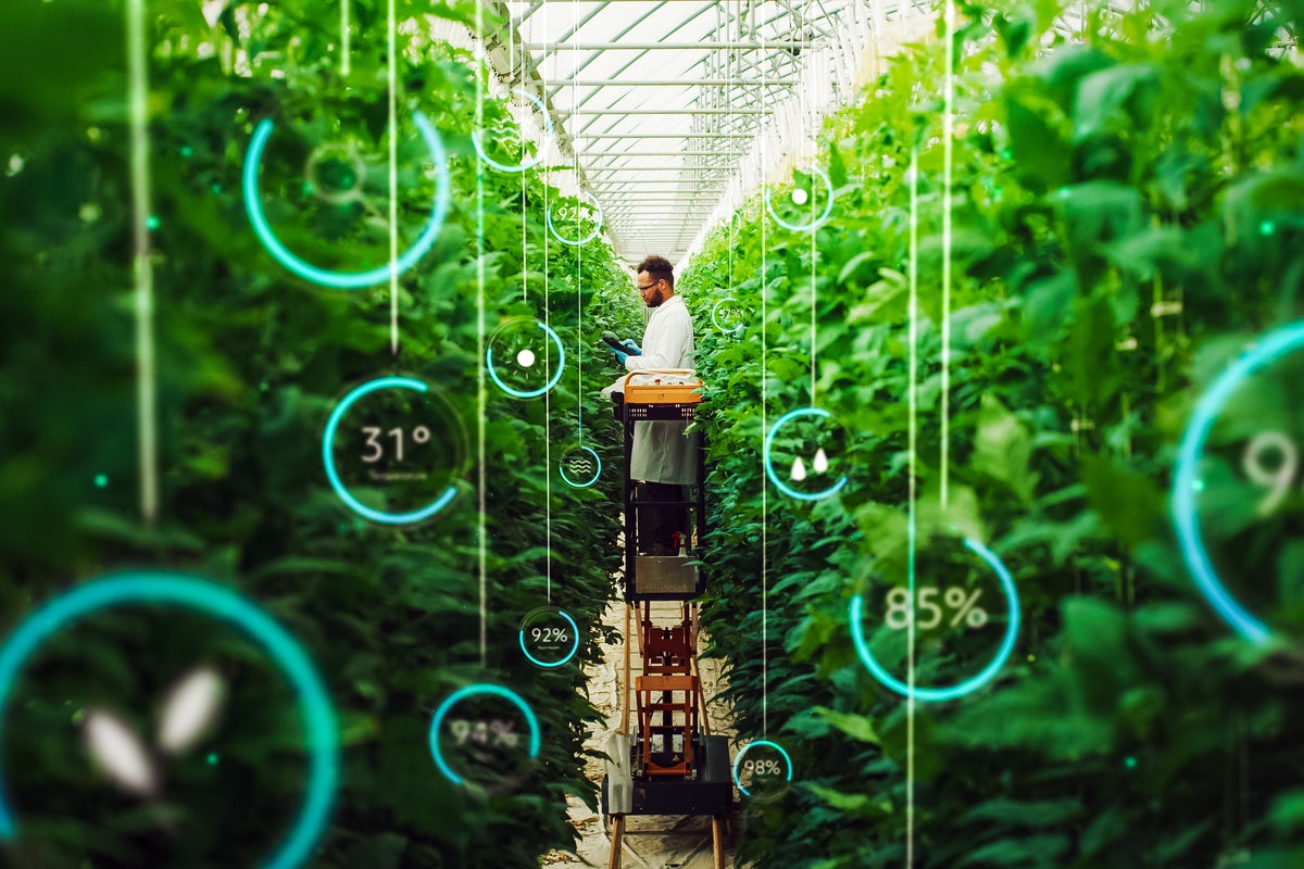 Why vertical farming – and digitalisation – could be an answer to food shortages