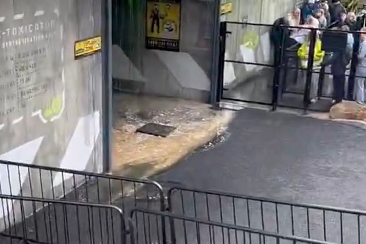 Burst pipe leaking brown liquid closes toxic waste-themed ride at Alton Towers