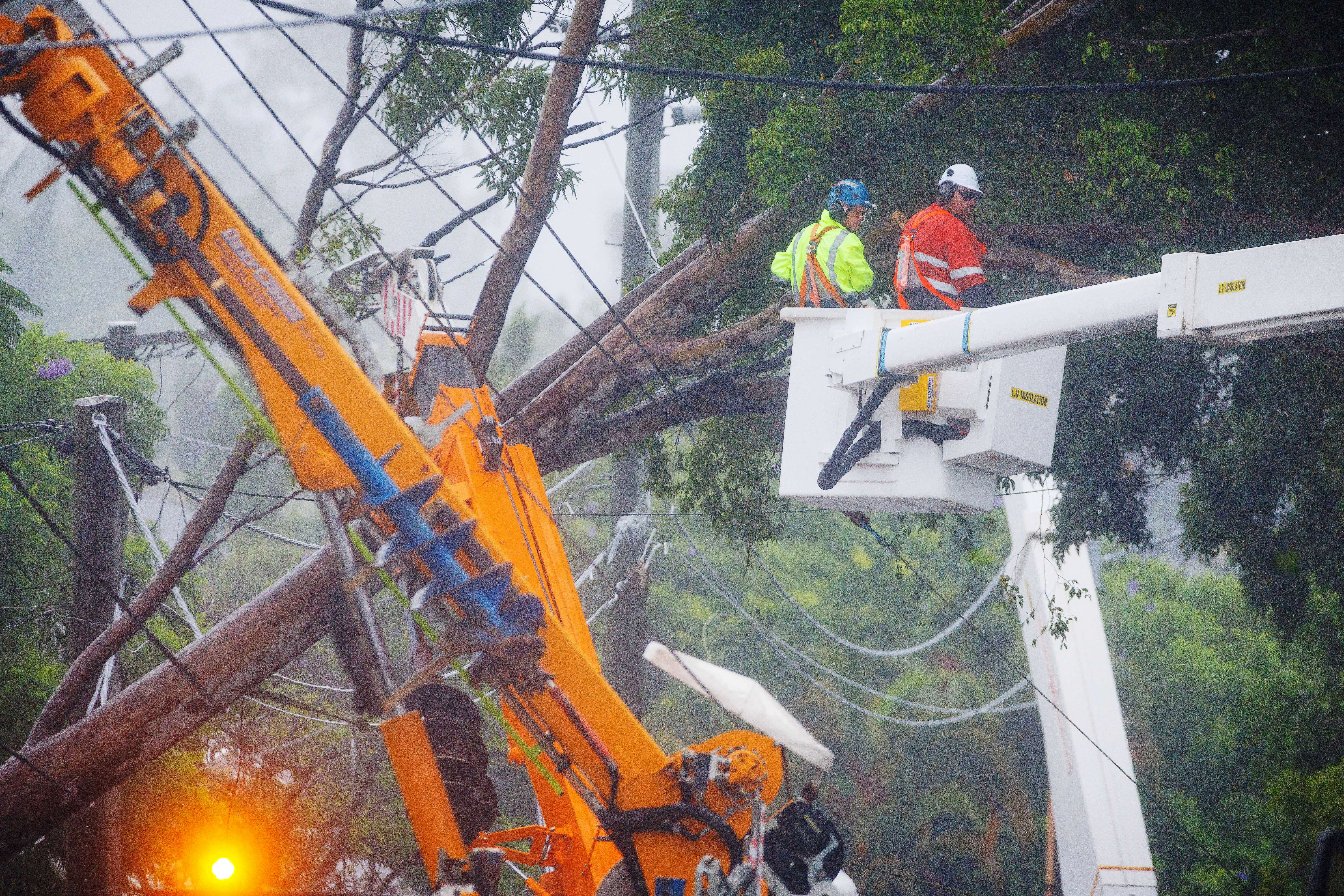 Energex crews clear a fallen tree following the passage of tropical cyclone Alfred in Brisbane o