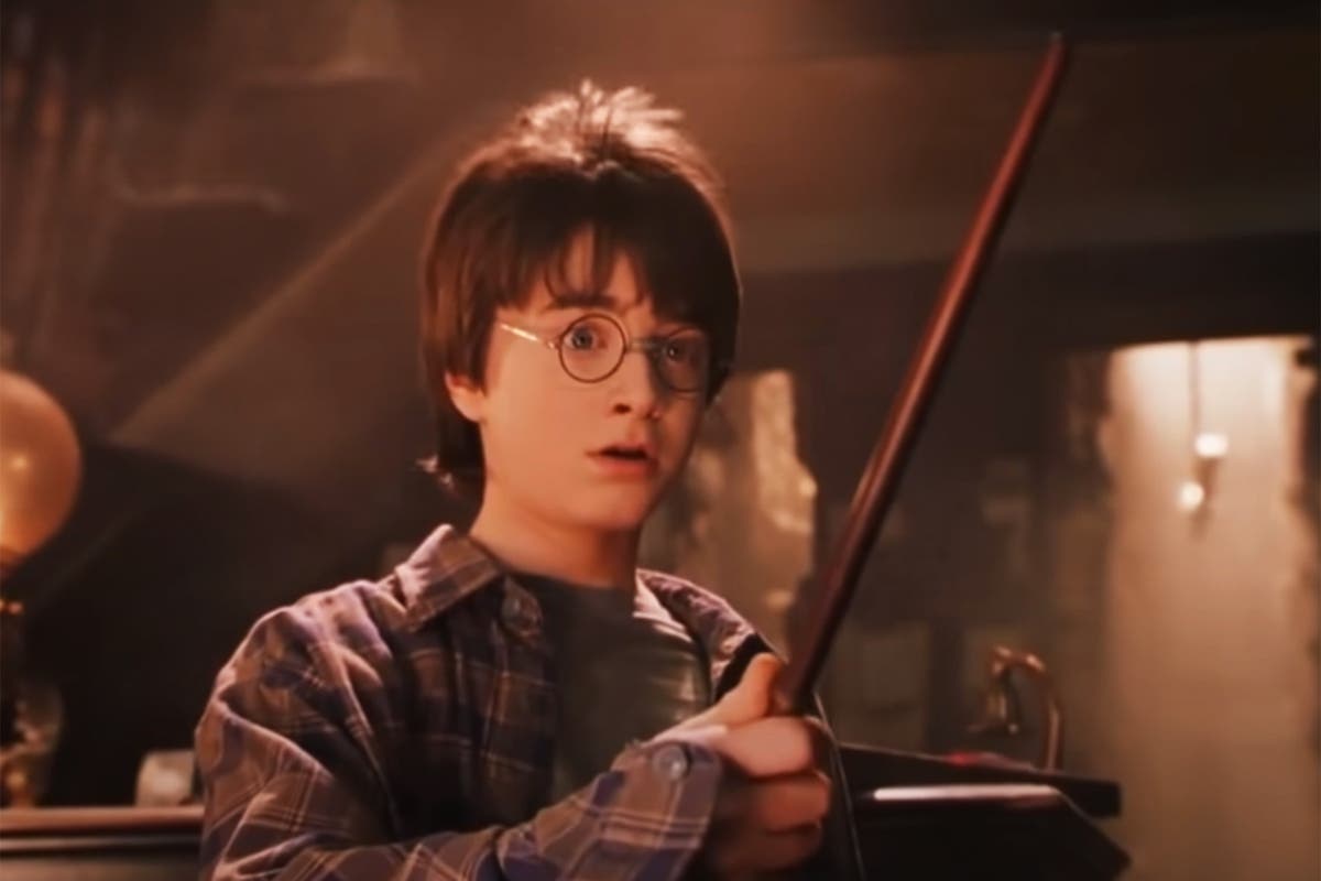 Is Harry Potter a Tory? Why people think fictional heroes share their political views