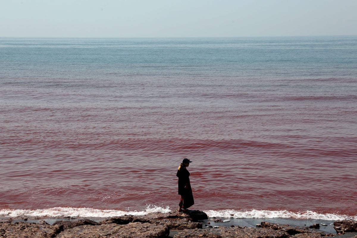 Scientists reveal reason behind ‘blood rain’ that turned Iran’s shoreline crimson