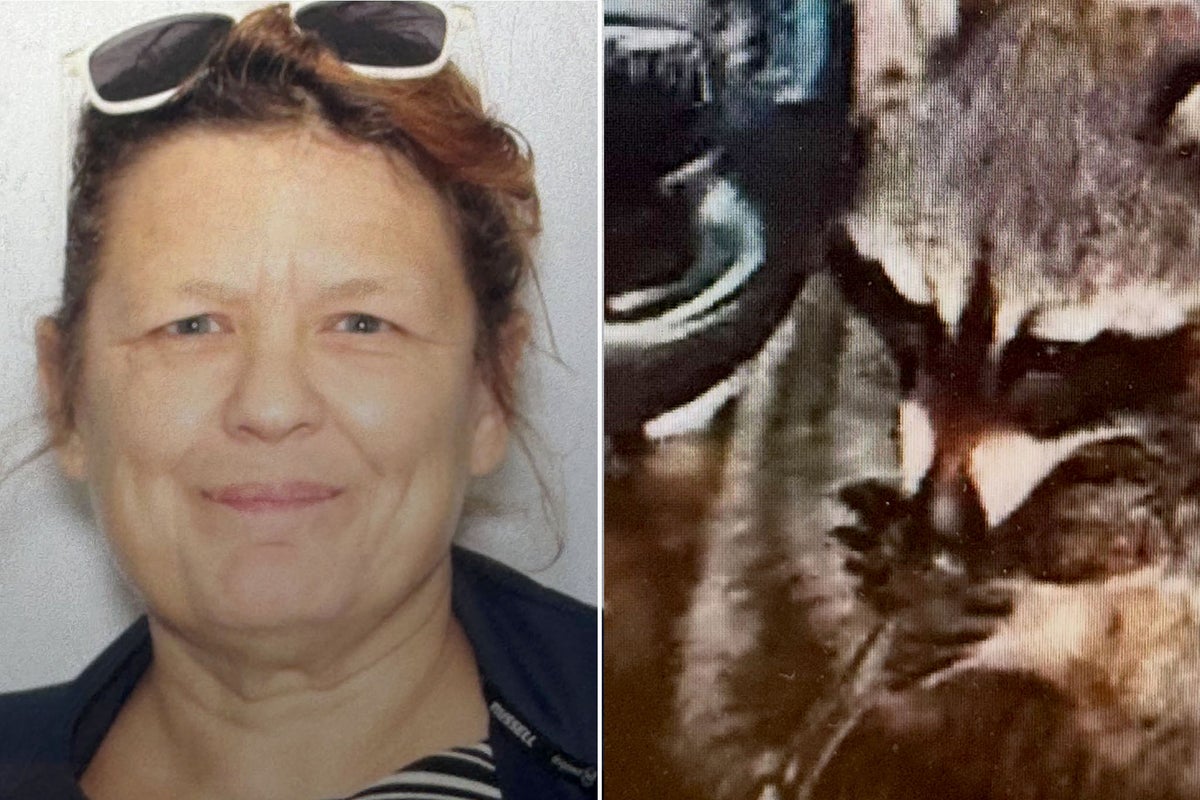 Racoon found playing with meth pipe in driver’s seat during Ohio traffic stop