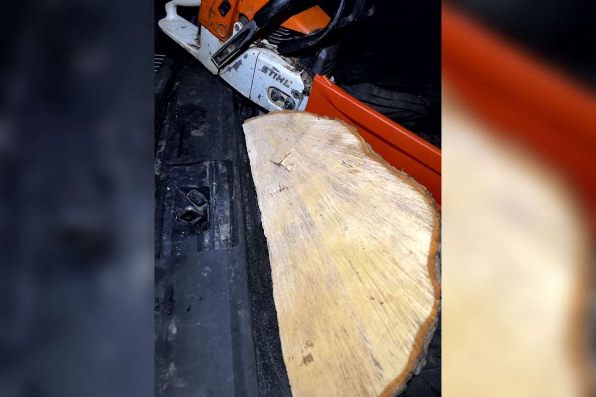 Sycamore Gap suspect claims he was ‘fixed up’ as video found showing ‘wedge of tree’