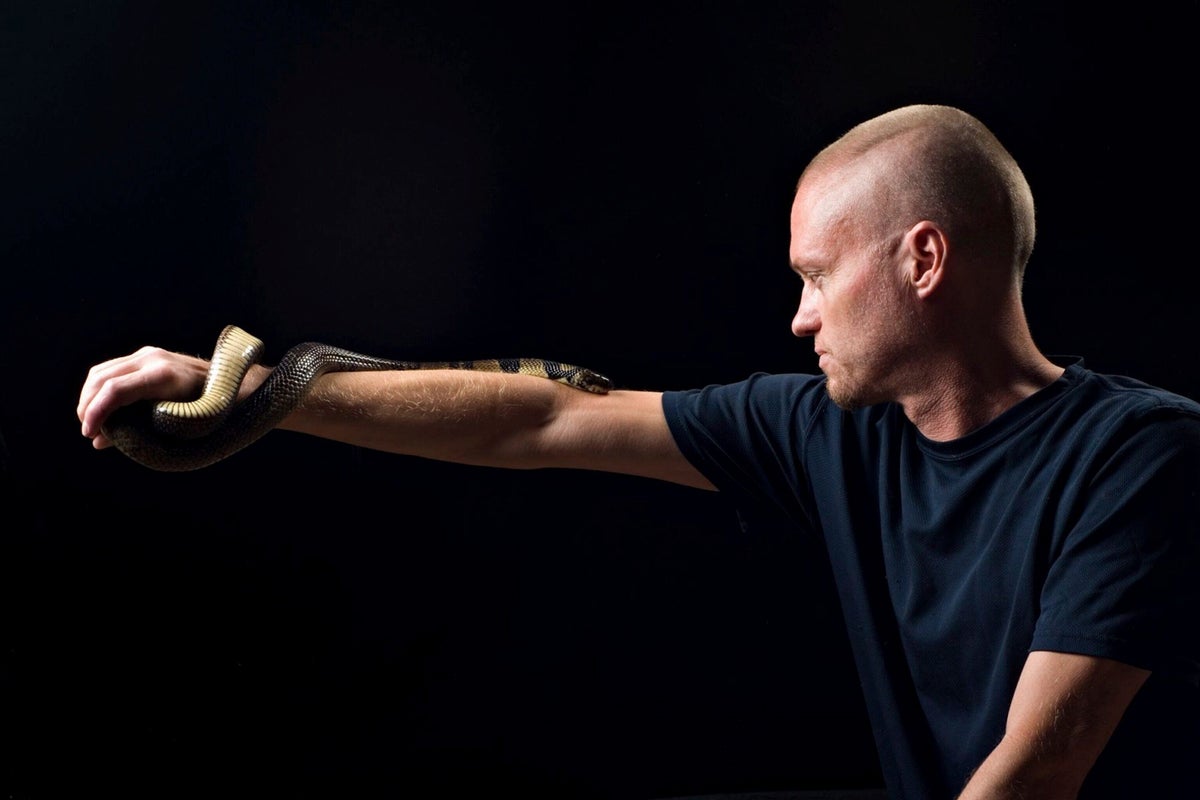 This man has been bitten by snakes hundreds of times – now his blood could save lives