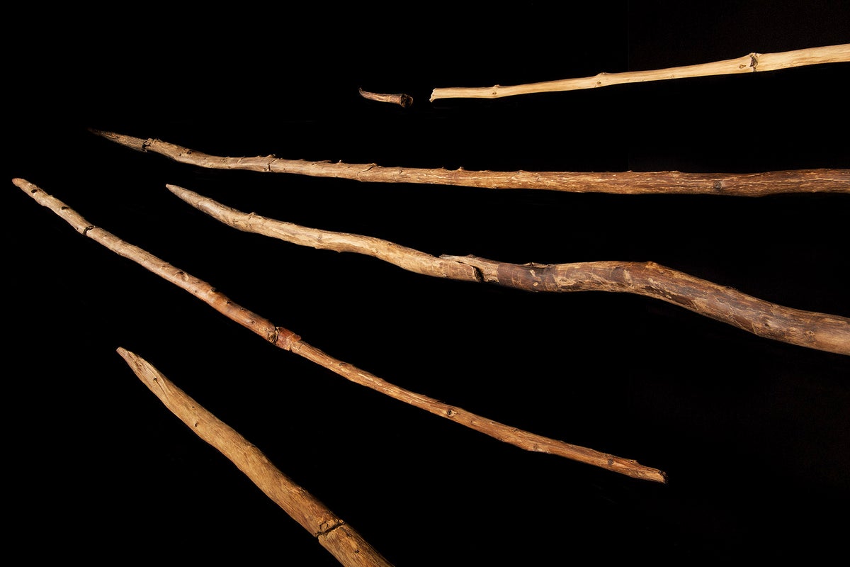 Wooden spears found in a German coal mine could change the history of human hunting